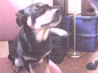 Maxine (2001) Click to enlarge