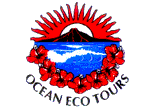 Surf, Dive & Explore HAWAII!