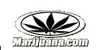 This is Marijuana.com, check it out...