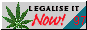 Cannibis Corner Home Page